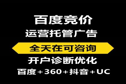成功案例：SEM竞价托管的策略与效果